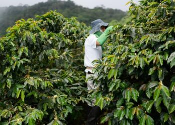 岢欣深耕咖啡產業多年 推出星鏈咖啡機