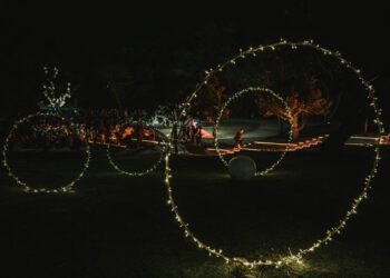 星光步道×飛馬馬車 大陳公園打造走春打卡點