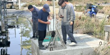 三地能源七股漁電千萬放養 AI治理打造科技綠電後盾