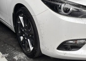 清明掃墓別讓車白吃灰 學會這一招護車又省錢