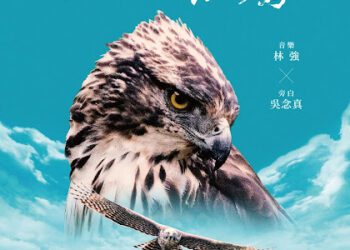 《老鷹想飛》票房名導新作 《飛吧！熊鷹》揭台灣最神秘猛禽面紗
