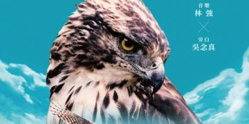 《老鷹想飛》票房名導新作 《飛吧！熊鷹》揭台灣最神秘猛禽面紗