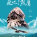 《老鷹想飛》票房名導新作 《飛吧!熊鷹》揭台灣最神秘猛禽面紗 《老鷹想飛》票房名導新作 《飛吧!熊鷹》揭台灣最神秘猛禽面紗