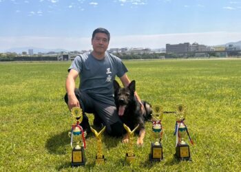 苗栗竹南訓犬中心導入正向教育 從幼犬社會化到成犬矯正