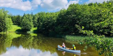 星野TOMAMU度假村推出台灣旅客限定禮遇 春夏綠色季同步登場