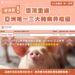 非洲豬瘟防疫成果再獲肯定 臺灣重返亞洲唯一三大豬病非疫國 非洲豬瘟防疫成果再獲肯定 臺灣重返亞洲唯一三大豬病非疫國