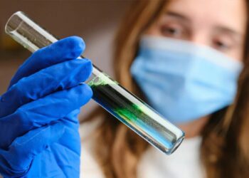 名人保養清單到科學研究 微藻成全球活力養生新選擇