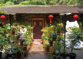 宜蘭礁溪老宅美食 隱世森林裡的砂鍋粥 結合能量檢測療癒之旅