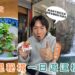 南投埔里一日遊 不只日月潭 鹹油條、肉圓在地吃法、瀑布秘境到夜景一次玩滿