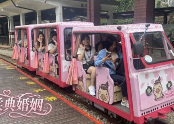 新北市府跨局處攜手「柔典婚姻介紹」 打造「新北漫旅 友好相遇」多元主題聯誼