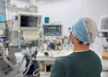高雄寵物醫療中心 從門診檢查到分科治療 專業守護毛孩健康