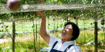 南投公益果園推全台水果宅配 日常團購小農水果也能支持動保