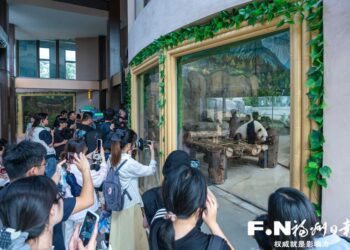 第十四屆海峽青年薈•第四屆兩岸青年“創未來”科普夏令營在福州開營