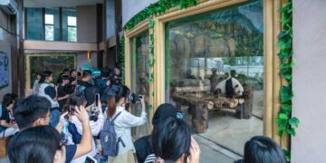 第十四屆海峽青年薈•第四屆兩岸青年“創未來”科普夏令營在福州開營