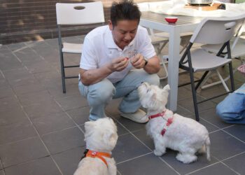 徐乃麟卸下犀利形象 接萌寵節目自爆私下「人不如狗」親擠肛門腺