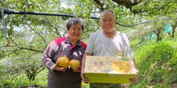 從五星飯店到東勢果園 三代傳承打造甘露梨精品禮盒品牌