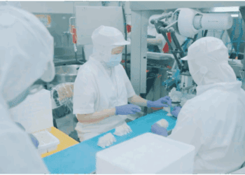 鼎記代工助力微型品牌 共創食品新未來