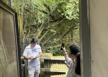 不只忙防颱解危 士北議員參選人林揚庭推「免費夏令營課程」被讚神隊友