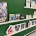 智寶多元IP跨國製片步入收割期 上半年業績再創新猷