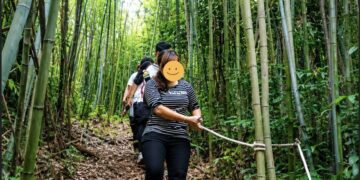 新北烏來秘境露營話題升溫 在下盆部落馬賴文化營遇見泰雅部落故事與山林記憶