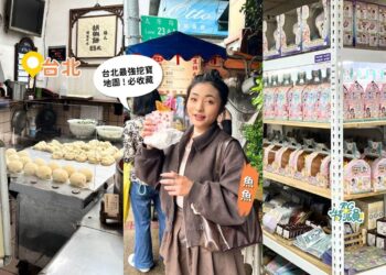 台北一日遊｜最強挖寶地圖 隱藏版玩具天堂、扭蛋盲盒買到失控 華陰街福元胡椒餅必吃