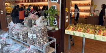 買齊桃園伴手禮不必東奔西走 大溪農特產店蒐羅豆干、水蜜桃、香菇 一次選購