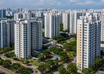 從星國組屋看台灣 先入住後儲蓄