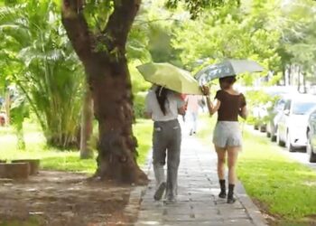 中興大學團隊以數據翻轉都市林管理 打造綠色城市韌性新藍圖