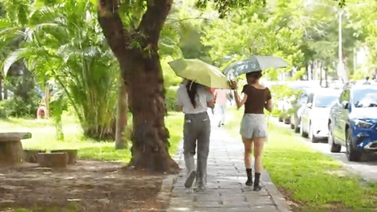 中興大學團隊以數據翻轉都市林管理 打造綠色城市韌性新藍圖