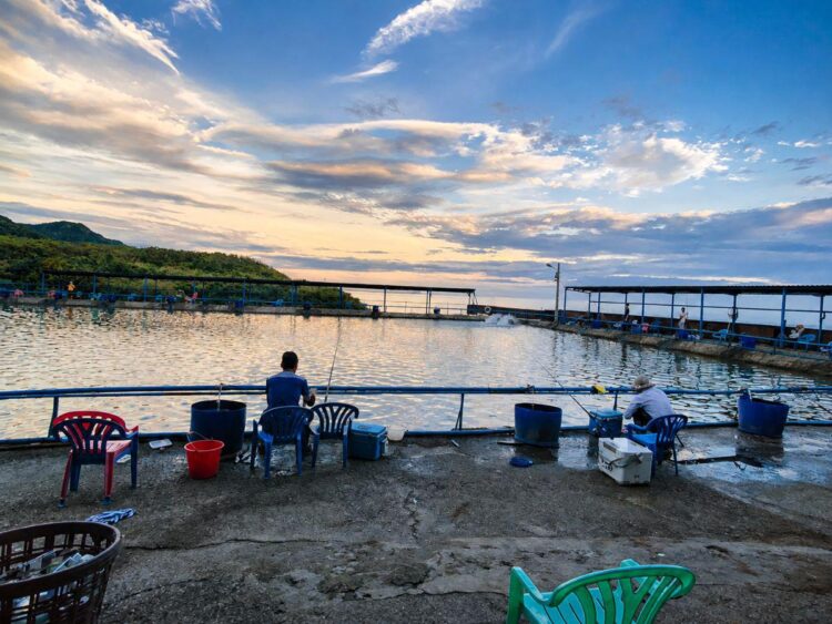 走進新北八里海釣場 考驗釣客看標技巧與搏魚技術 感受純海水池釣大物試煉場 走進新北八里海釣場 考驗釣客看標技巧與搏魚技術 感受純海水池釣大物試煉場