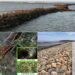 新豐坡頭村石滬海岸親水空間改善工程完工 看石滬不用到澎湖