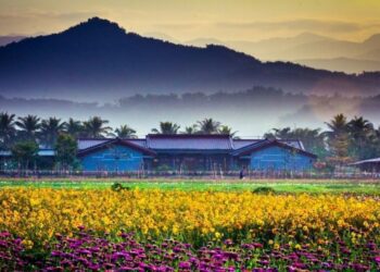 清涼一夏 山城避暑來旗美九區避暑放鬆「熊」好