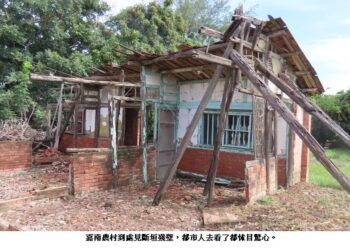 春風難解走味的鄉愁