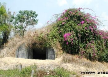 大樹兩處砲陣地 歷史回顧