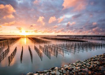 炎炎夏日出遊選哪派 嘉義縣長翁章梁推薦山派、海派都很澎派 來嘉就對了