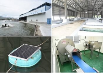 漁電共生養殖場結合初級加工場 提升養殖產業品質競爭力