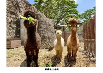 壽山動物園動物明星票選7/22起跑  選出你心目中的「雄讚」