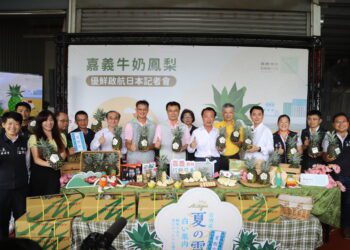 嘉義農產深受日本青睞 夏之雪牛奶鳳梨 接棒外銷帶動嘉義縣觀光發展契機