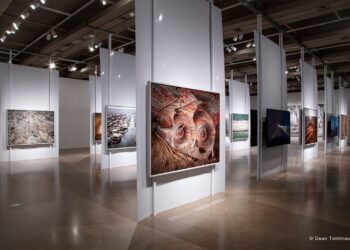 看見地球的美麗與哀愁  高美館８月特展《人類世》壯闊登場　早鳥8/1啟售