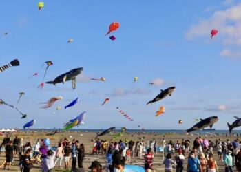 2023旗津風箏節 首創陸海空3D展演  實施四階段交管 搭乘渡輪最方便