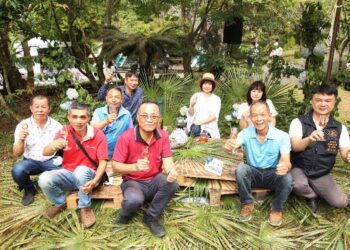 阿里山四季茶旅 來阿里山用茶香擁抱每一天 夏季茶會清涼一 夏