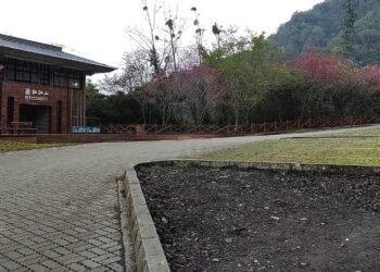 拉拉山「熊出沒」 黑熊保育專車「護熊職人號」與大小朋友見面