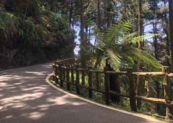 雙流、墾丁國家森林遊樂區及林後四林平地森林園區7/30起恢復正常營運 藤枝延至8/1開園