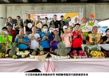 酸甜滋味在口湖•幸福61口湖休息站 手刀搶購最後一波雲林鳳梨沁涼又消暑