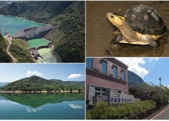 7/31 世界巡護員日 翡翠水庫邀您守護水源/保育食蛇龜