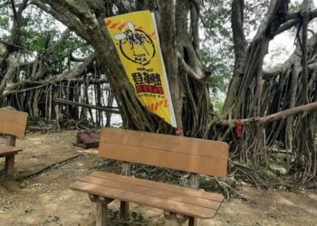 高市本土登革熱+2   1例為旗后當地社區感染  1例可傳染期有壽山國家自然公園步道活動史