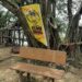 高市本土登革熱+2   1例為旗后當地社區感染  1例可傳染期有壽山國家自然公園步道活動史