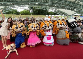 暑假最終場！ 石虎家族見面會搭檔YOYO家族 8/13市政公園歡樂登場