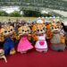 暑假最終場! 石虎家族見面會搭檔YOYO家族 8/13市政公園歡樂登場