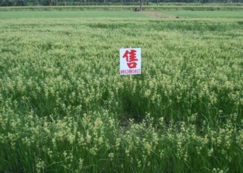 萬叢綠中一點紅 房地仲介 無遠弗屆